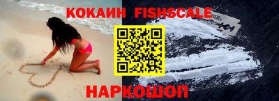 крисы Камышлов
