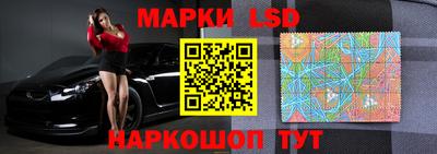 крисы Камышлов