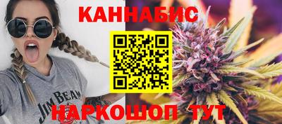 крисы Камышлов