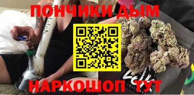 крисы Камышлов
