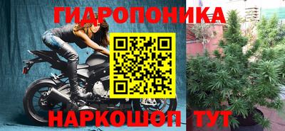 крисы Камышлов