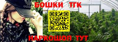 крисы Камышлов