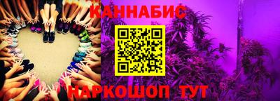 крисы Камышлов