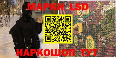 крисы Камышлов