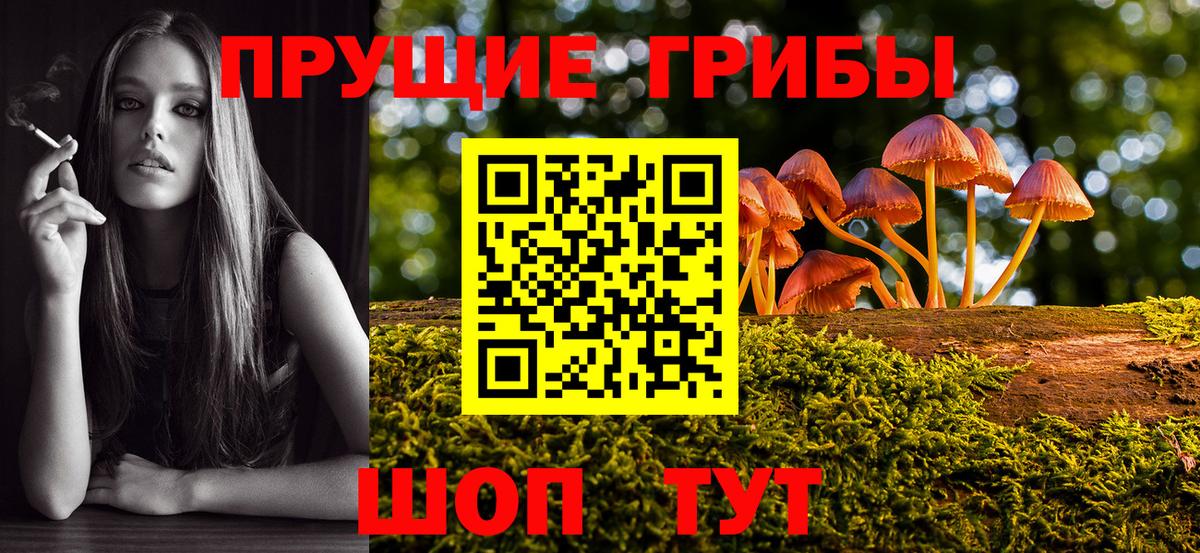 Псилоцибиновые грибы ЛСД  Вход с VPN  Ковров 