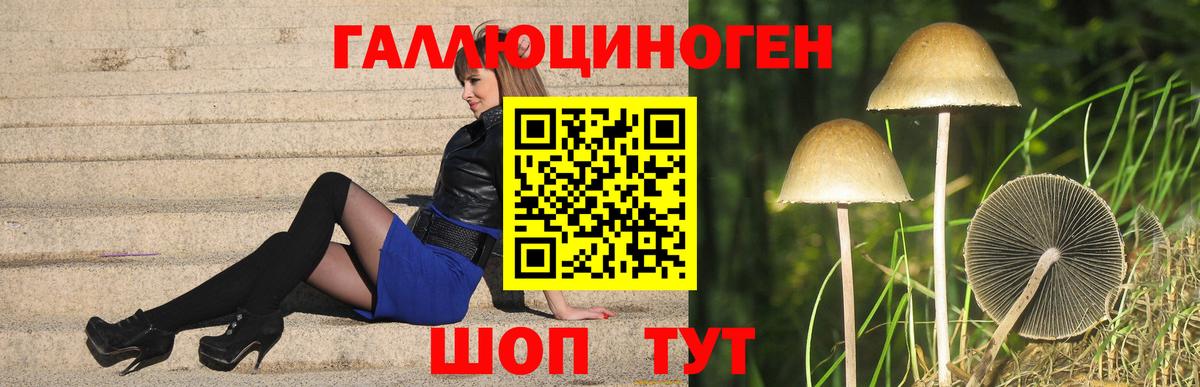 Псилоцибиновые грибы Cubensis Ковров